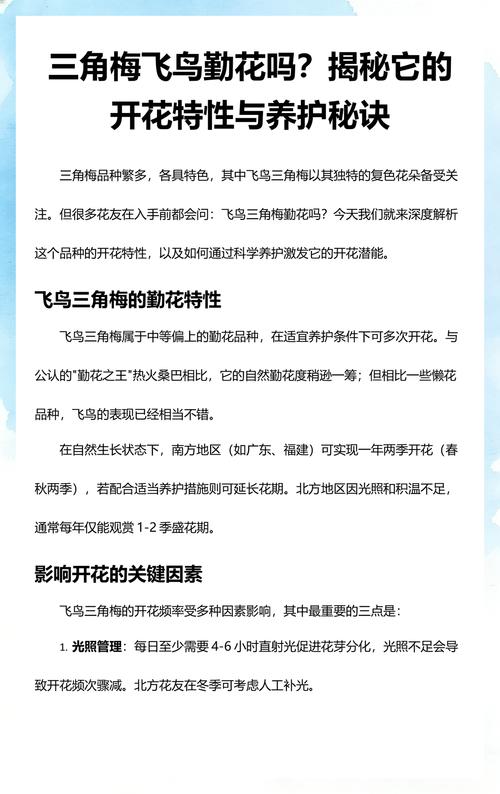 红宝石三角梅勤花吗?揭秘它的开花习性与养护诀窍 三、修剪与造型:越剪越勤花