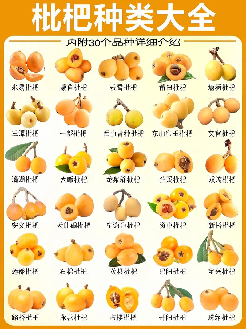 采购数量因素