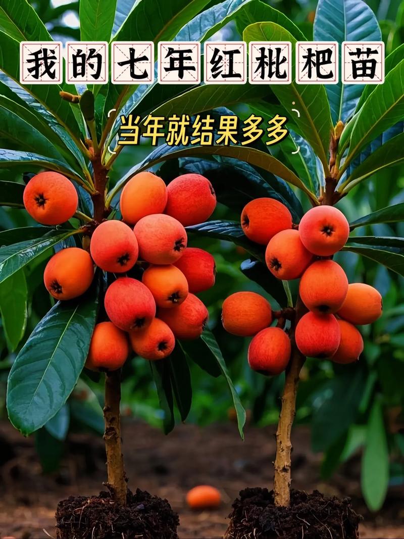 常见规格与对应价格区间表格