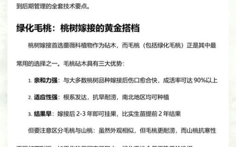 桃树嫁接砧木选择指南：亲缘关系与成活率的关键因素