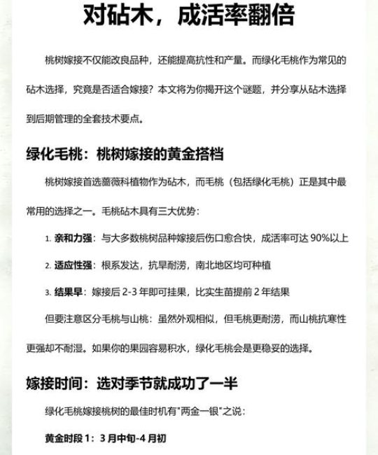 桃树嫁接砧木选择指南：亲缘关系与成活率的关键因素