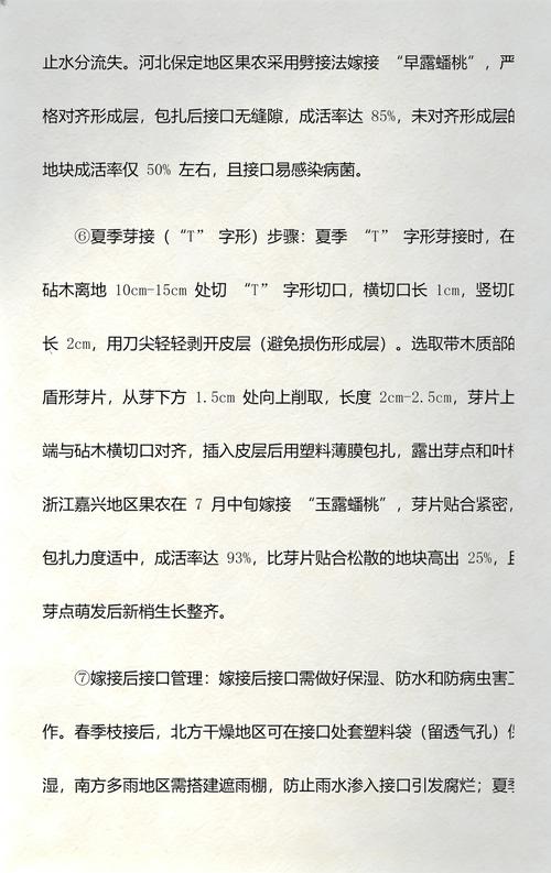 总结验证