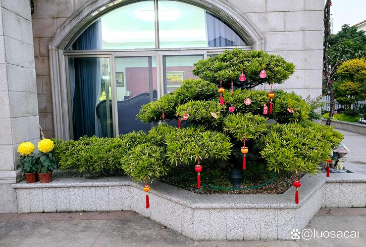花坛里前后左右都种了8棵树:对称布局的设计与养护技巧 花坛里前后左右都种了8棵树:对称布局的设计与养护技巧