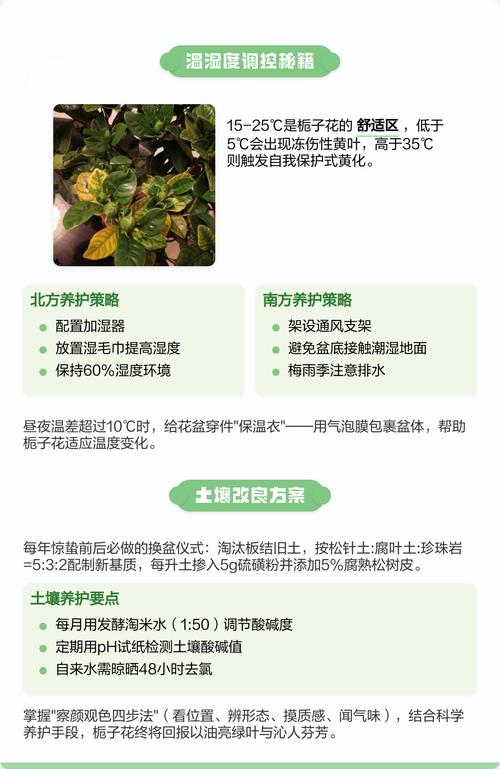 栀子花发黄干枯掉叶子怎么办?全面诊断与救治指南 处理办法