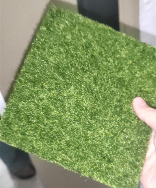 马尼拉草皮价格一平米多少钱？2025年最新报价参考