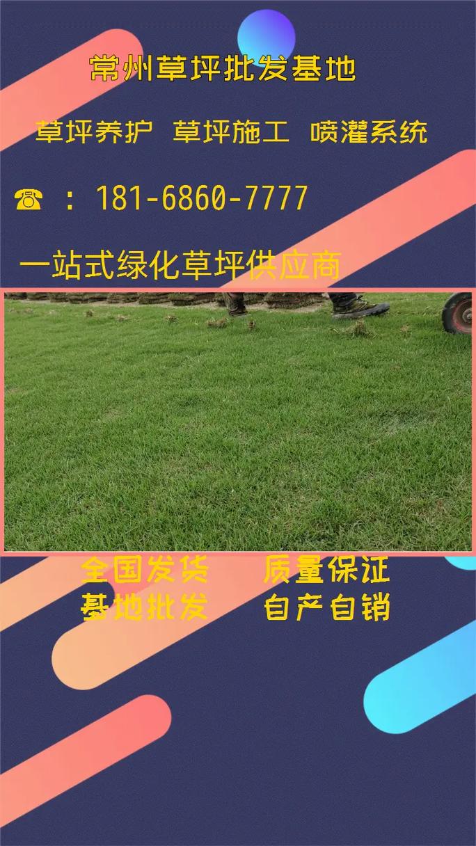 马尼拉草皮价格一平米多少钱?2025年最新报价参考 运输:考虑距离与保鲜成本