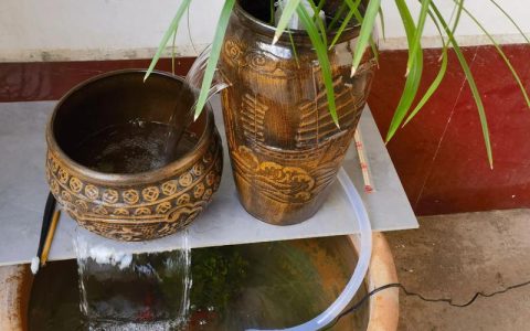 长期用养鱼水浇花好吗？专家建议与操作指南