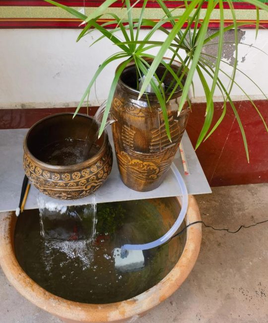 长期用养鱼水浇花好吗？专家建议与操作指南