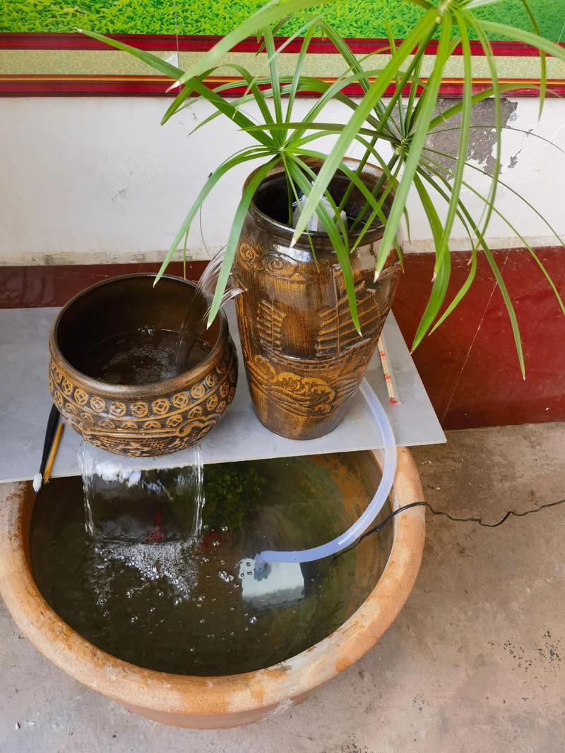 长期用养鱼水浇花好吗?专家建议与操作指南 长期用养鱼水浇花好吗?专家建议与操作指南