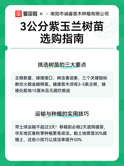 5公分紫玉兰树多少钱?2026年价格参考与采购指南 如何获取精准报价?