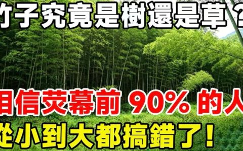 为什么竹子是草？解开植物学中的误会与园艺玄机