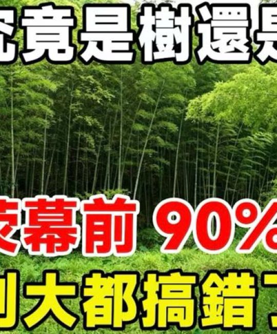 为什么竹子是草？解开植物学中的误会与园艺玄机