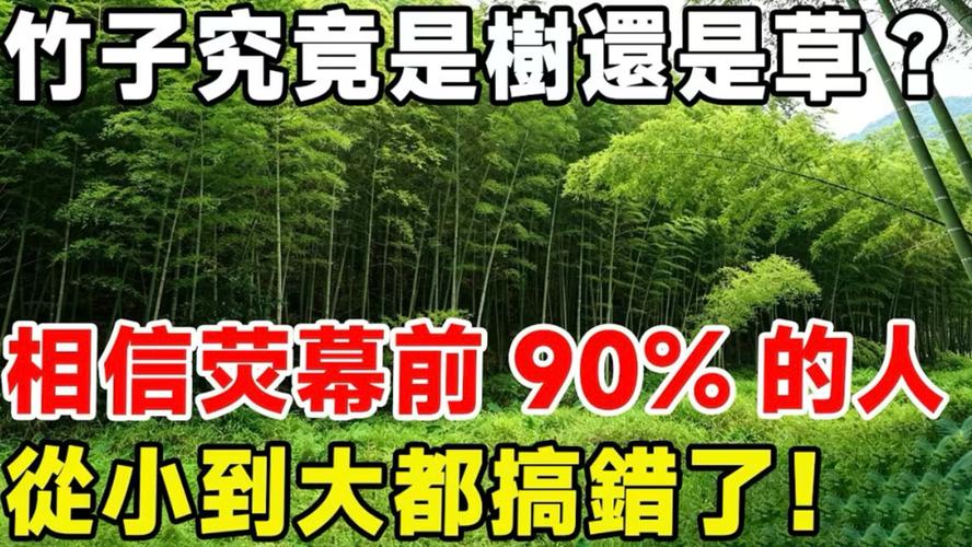 为什么竹子是草?解开植物学中的误会与园艺玄机 一、木本与草本的分界线:维管束的奥秘