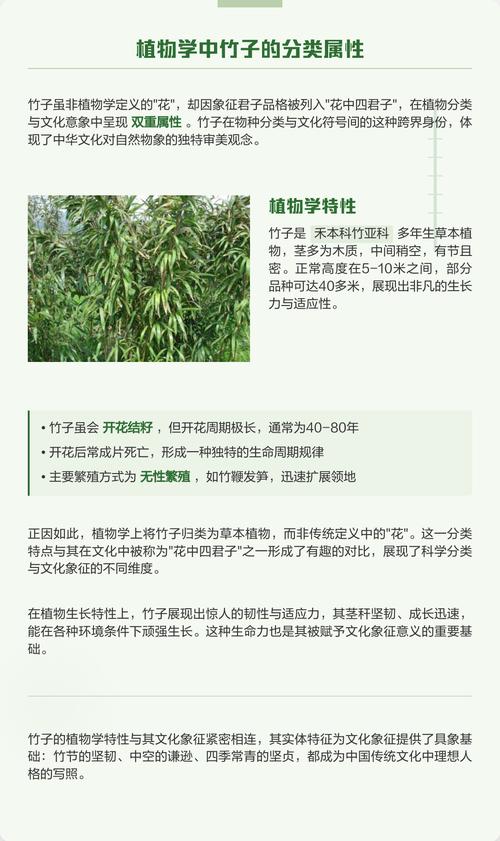 为什么竹子是草?解开植物学中的误会与园艺玄机 二、与亲缘关系密切的“草亲戚”