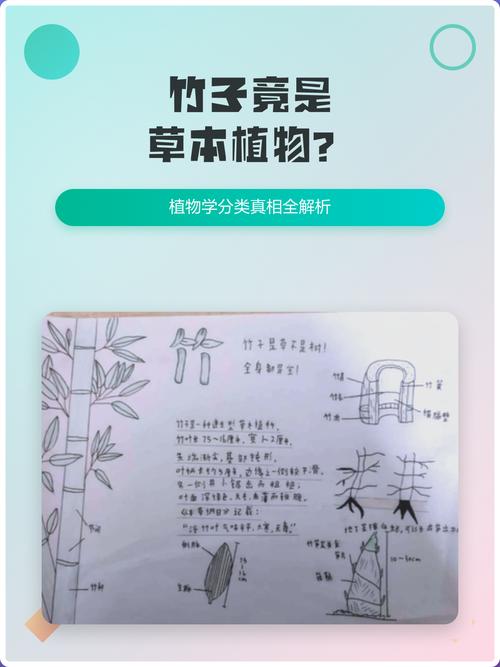 为什么竹子是草?解开植物学中的误会与园艺玄机 三、生命周期:一次开花,集体死亡