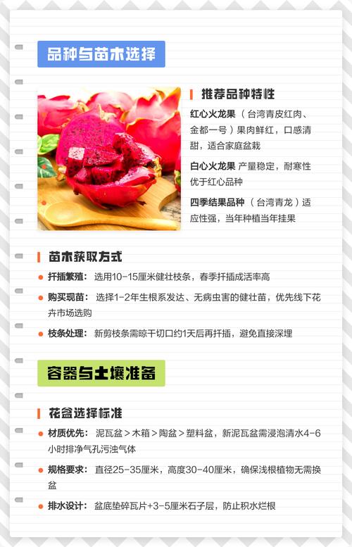 六、缓苗管理