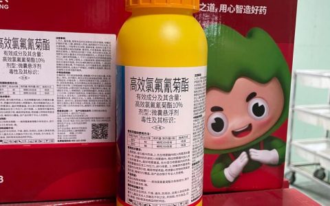 山楂树养护核心：白粉病与锈病首选三唑酮类杀菌剂，嫁接苗定植后第3年挂果