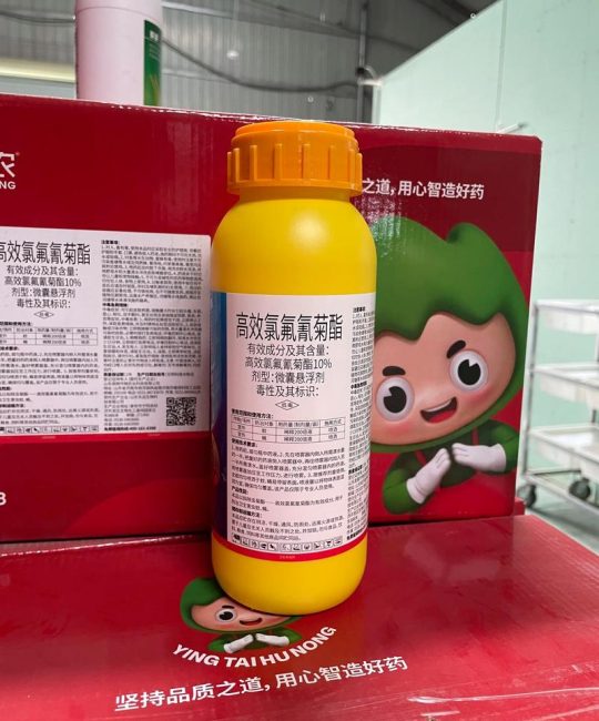 山楂树养护核心：白粉病与锈病首选三唑酮类杀菌剂，嫁接苗定植后第3年挂果