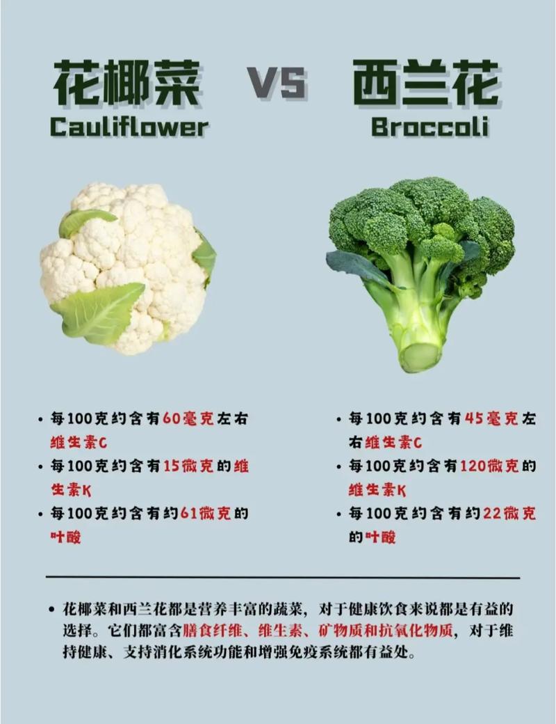 西兰花吃的是哪个部位?一文学会识别与种植要点 结语
