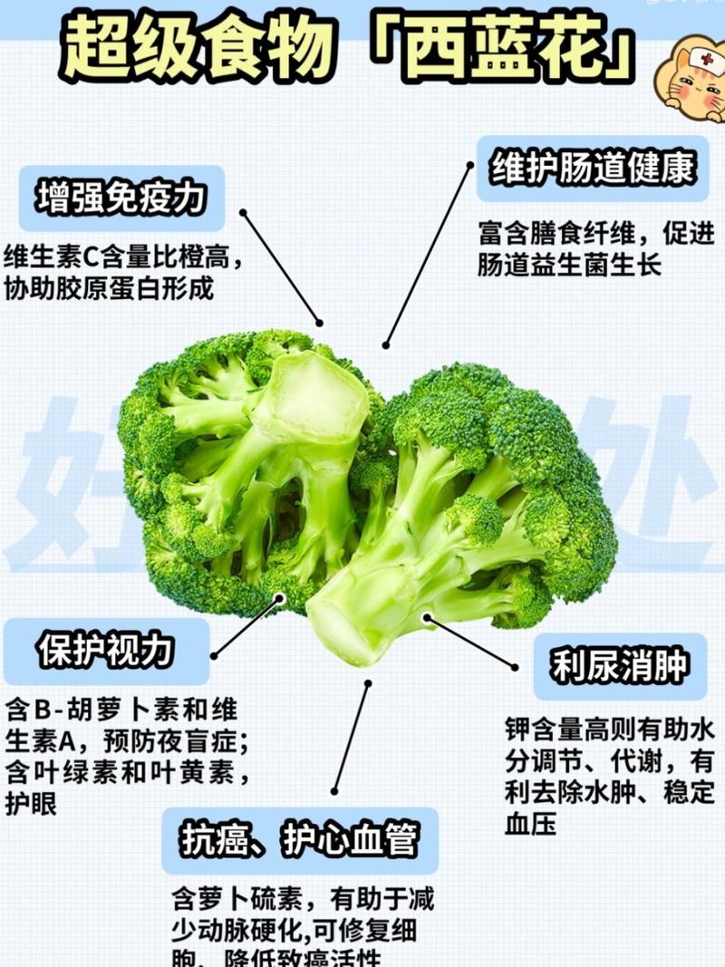 西兰花吃的是哪个部位?一文学会识别与种植要点 三、常见误区:别把叶子当主角