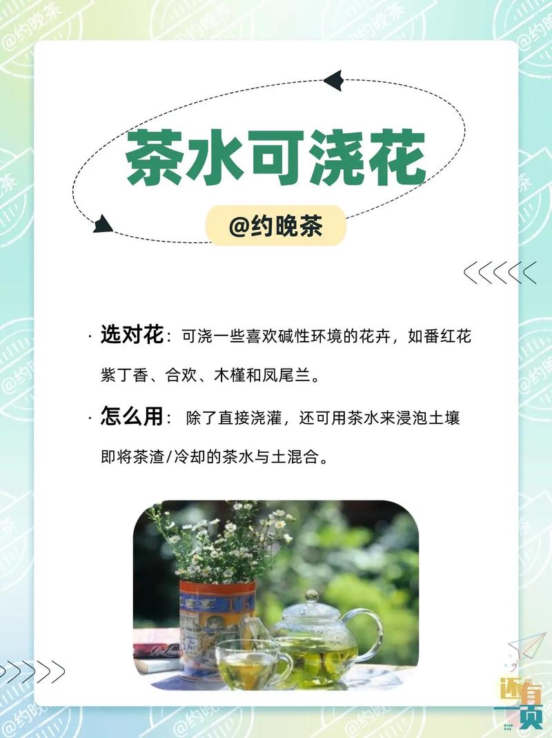 茶叶茶可以浇花吗?园艺达人的正确用法与注意事项 四、适合用茶叶水浇的花卉