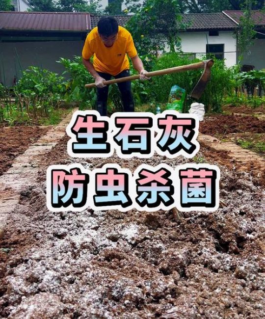 土壤变酸的6种方法：家庭园艺改良指南