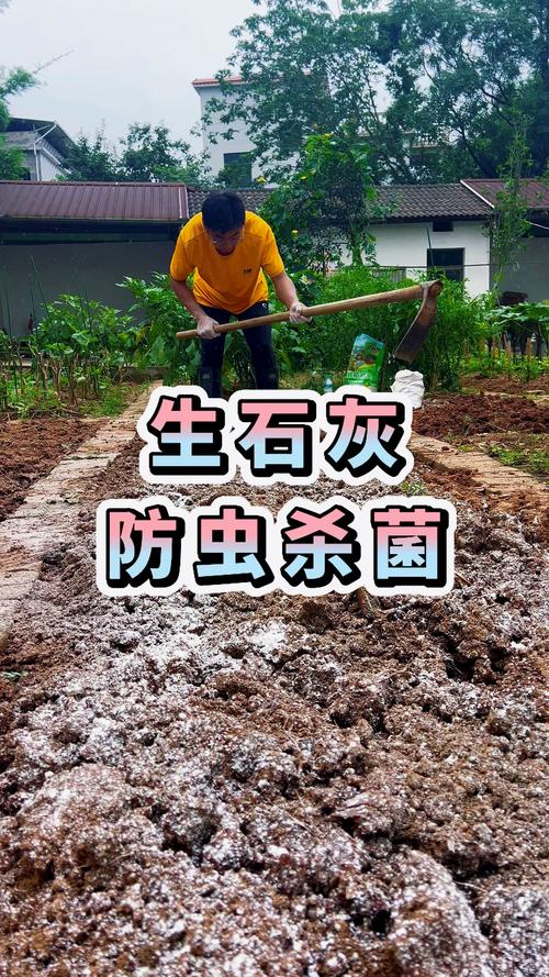 土壤变酸的6种方法:家庭园艺改良指南 土壤变酸的6种方法:家庭园艺改良指南