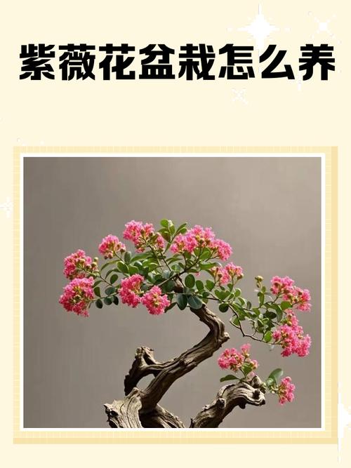 紫薇树适合什么土壤?酸碱度、配比与盆栽地栽全指南 FAQ(常见问题)