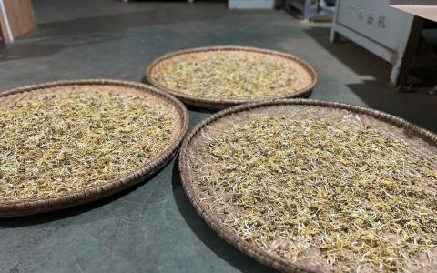 金银花用什么烘干？详解四种高效烘干方法及注意事项