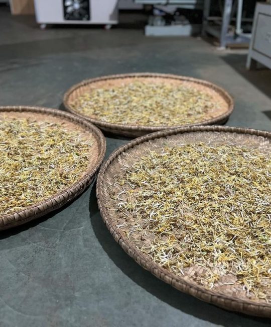 金银花用什么烘干？详解四种高效烘干方法及注意事项