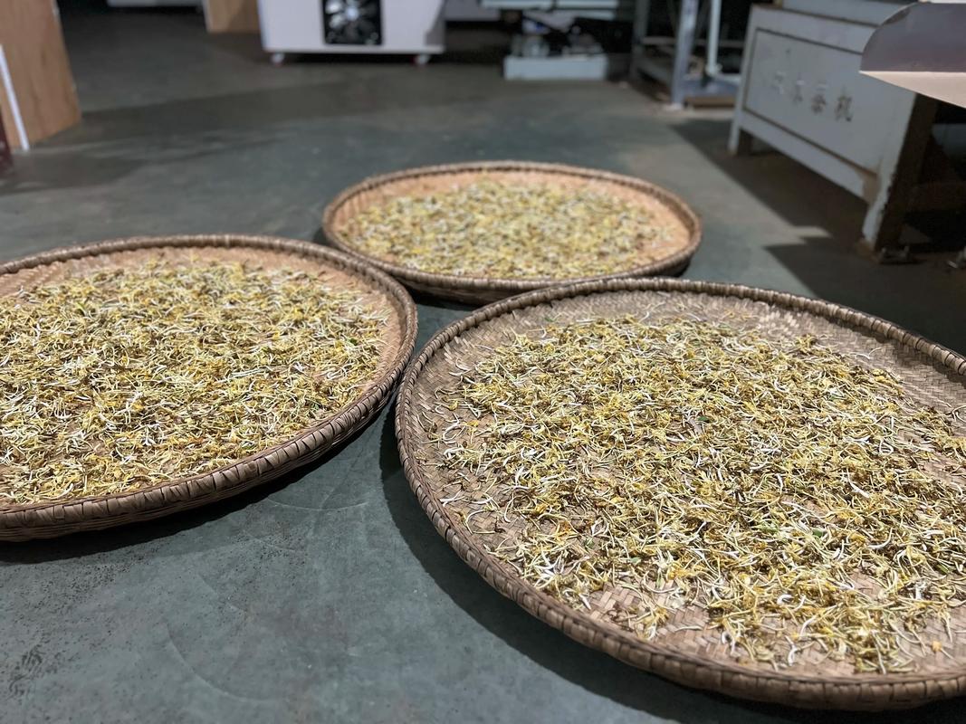 金银花用什么烘干?详解四种高效烘干方法及注意事项 金银花烘干的重要性