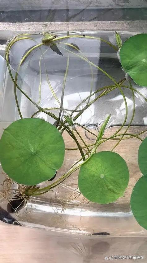 常见误区与纠正