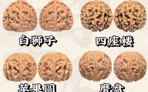 核桃文玩价格一览表：规格、品种与产地如何影响报价