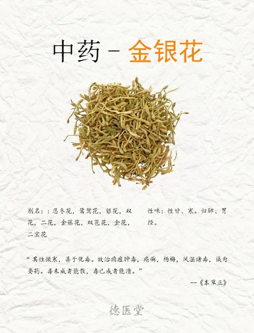 金银花价格参考区间:五大影响因素详解与采购建议 FAQ:常见问题