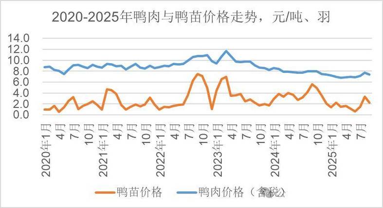 肉鸭苗价格多少钱一只?2025年最新市场参考区间与影响因素解析 价格影响因素汇总表