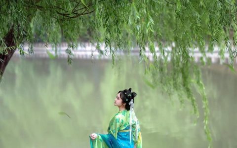 从“碧玉妆成一树高”看柳树的诗意与园艺之美