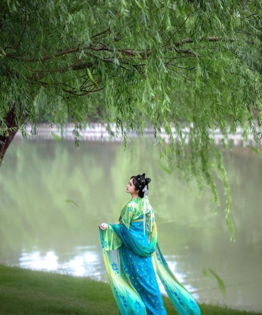 从“碧玉妆成一树高”看柳树的诗意与园艺之美