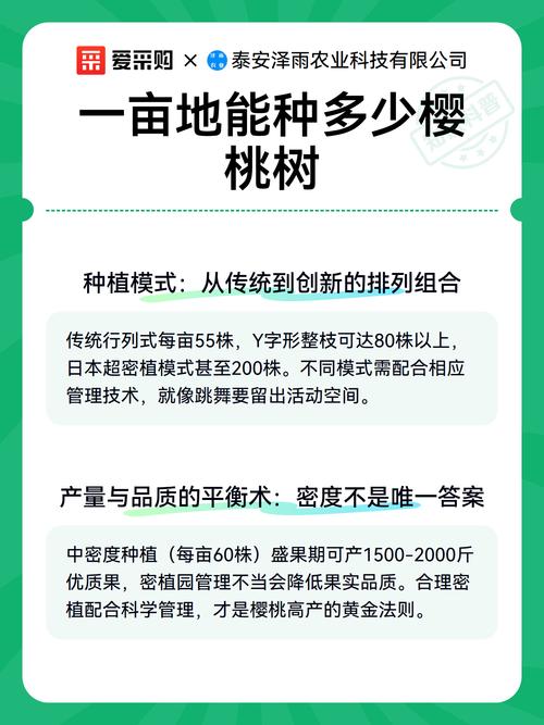 樱桃树栽植密度指南:一亩地到底能种多少棵? 总结