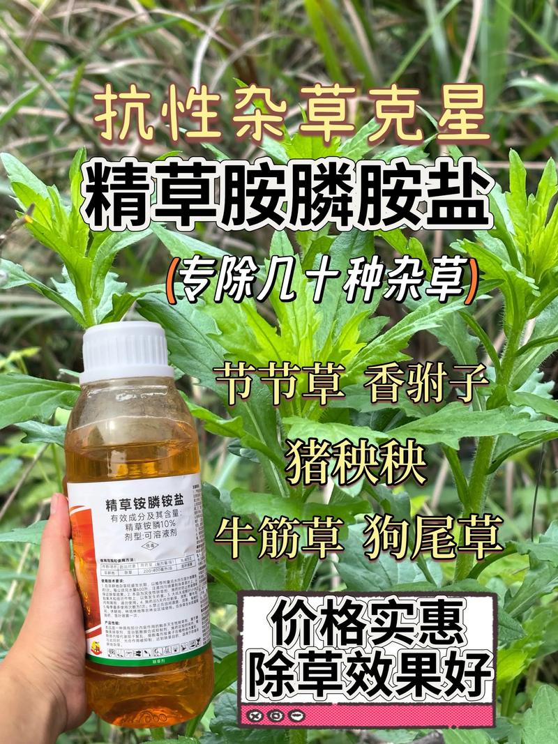 三、综合防治策略：化学+农业措施