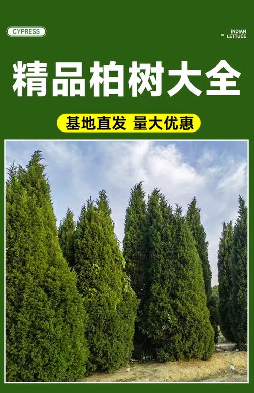 运输因素：距离与数量决定物流占比，建议控制在12%以内