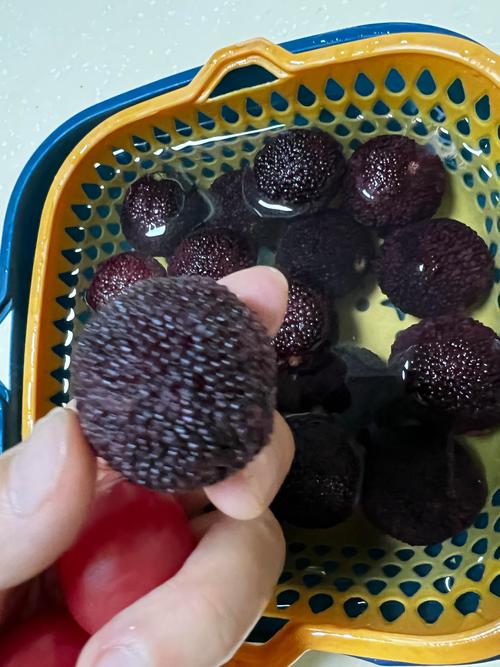 现在杨梅价格是多少?产地、季节与采购量如何影响报价 现在杨梅价格是多少?产地、季节与采购量如何影响报价