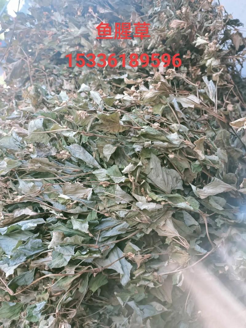产地对价格的影响