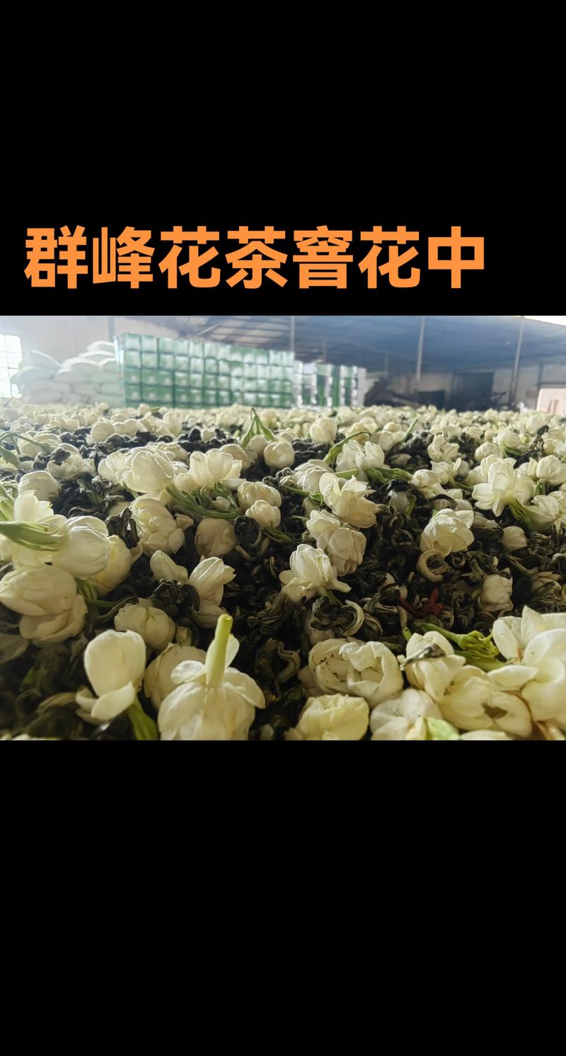 三、花茶家族：不止茉莉，还有百花齐放