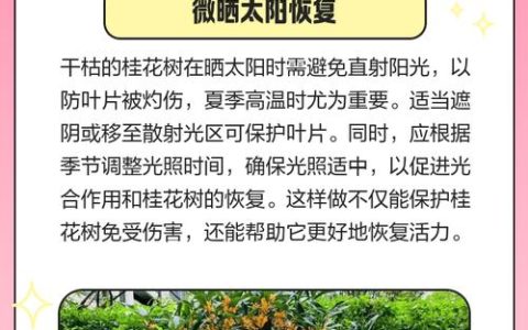 桂花树干枯了怎么救活？专家教你三步挽救