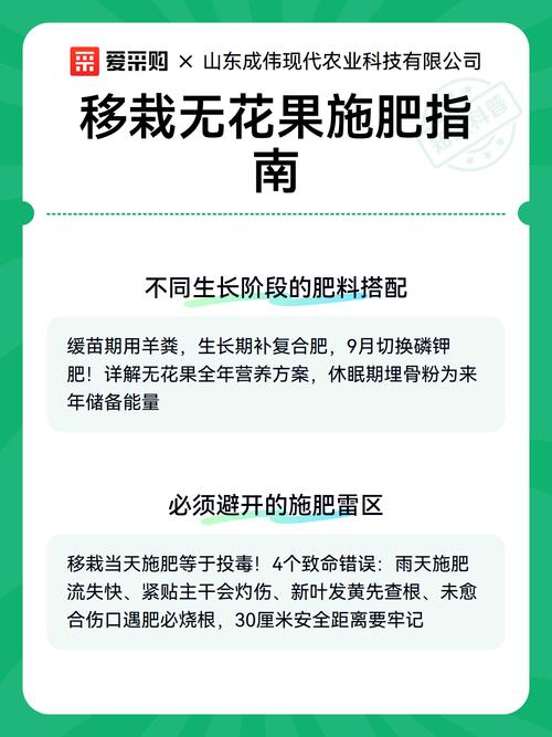 无花果树施什么肥比较好:高效施肥方案与四季管理指南 总结