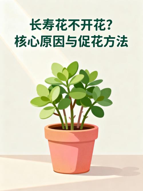 常见不开花的植物有哪些?家庭园艺不开花原因与促花指南 一、 常见不开花的植物(品种特性)