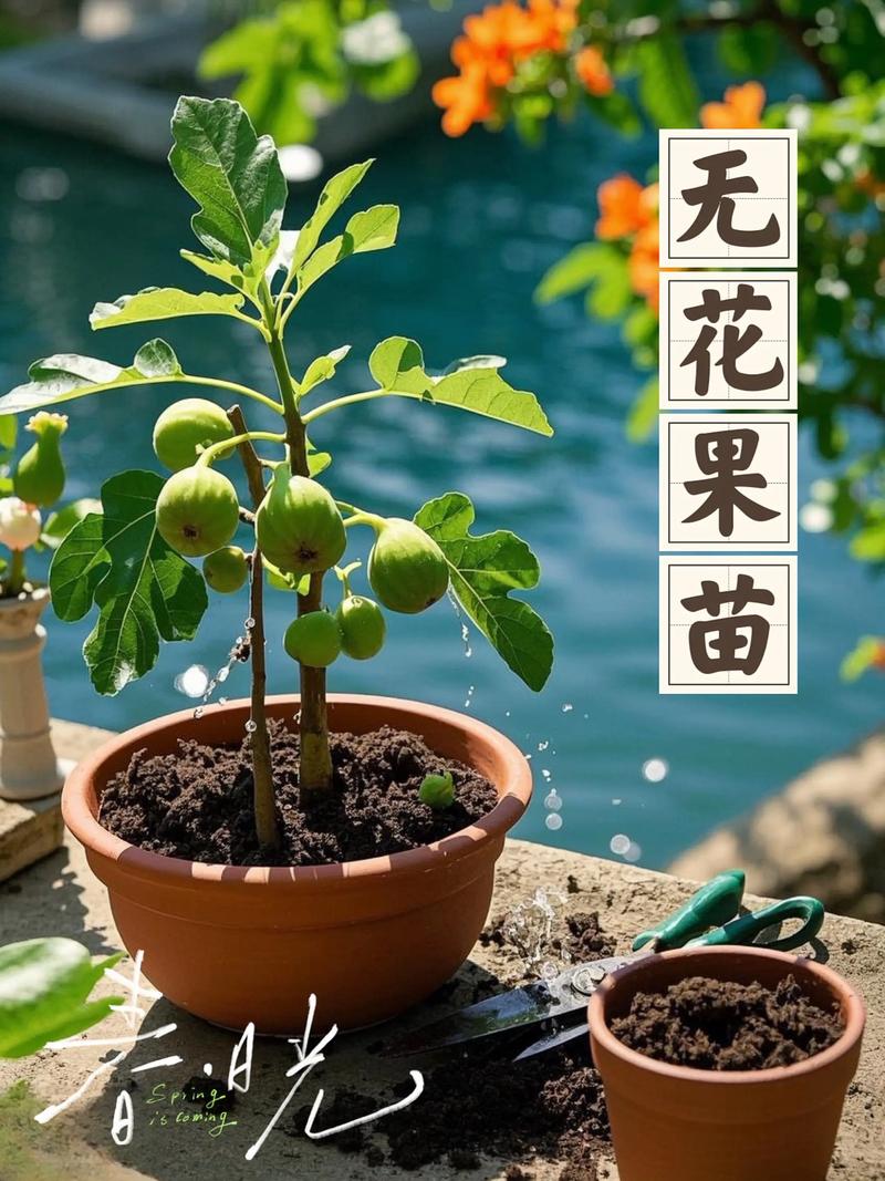 无花果适合小孩子吃吗?专家给出权威结论与家庭种植指南 无花果的营养结构天然契合儿童消化需求