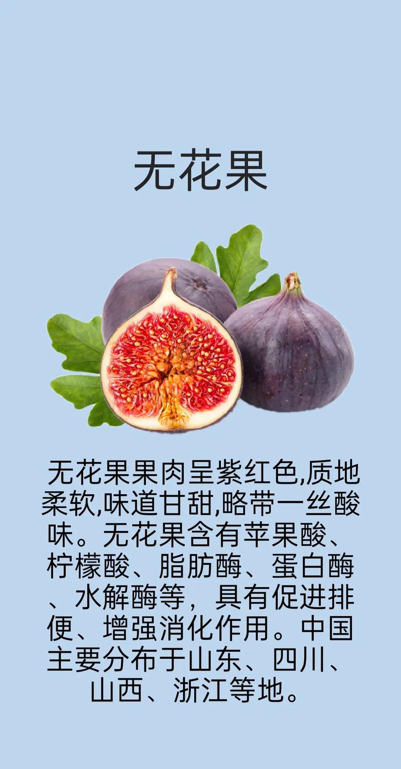 无花果适合小孩子吃吗?专家给出权威结论与家庭种植指南 苗木采购必须执行“一查二看三捏”标准