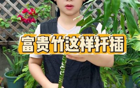 竹子怎么扦插才能成活？掌握这5个关键步骤，成活率提升90%