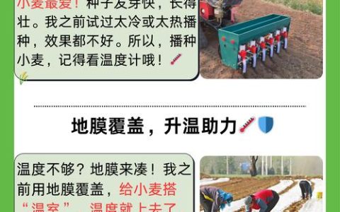 秧苗什么时候播种？春季地栽乔灌木通用指南